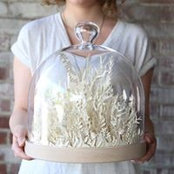 Stephanie McNabb's photo