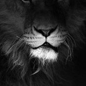 Sherr Harden's photo