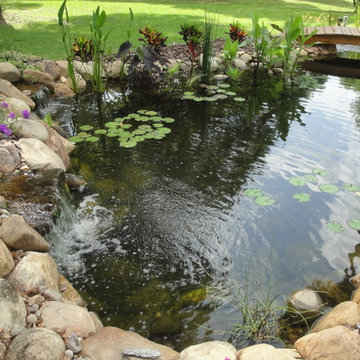 Latow Pond