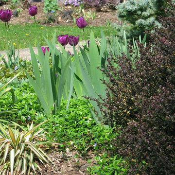 Tranquil Takoma Garden - Private Residence