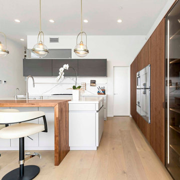Modern coastal kitchen in Dana Point