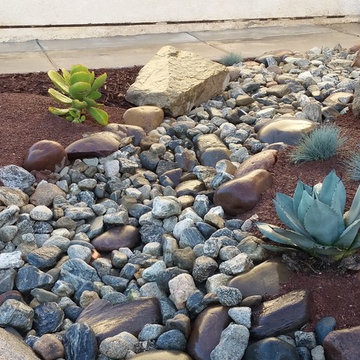 Front Yard Transformation