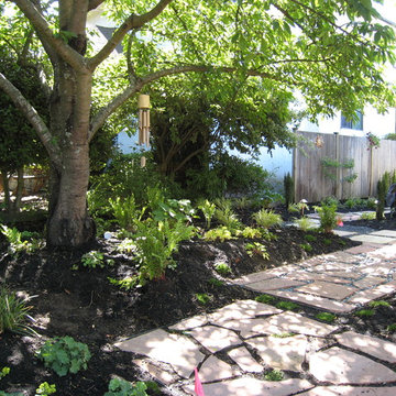 UPLOADED PHOTOS TO MOVE INTO PROJECTS