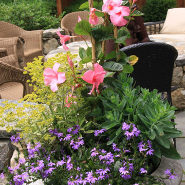 Coastal plantings, June 2014