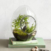 faisal_hashim's ideas