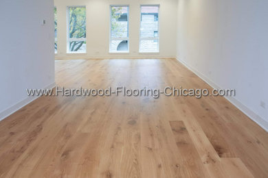 Minimalist laminate floor hallway photo in Chicago