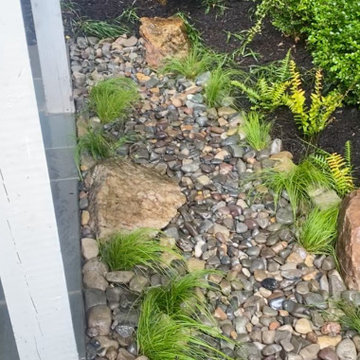 RainGarden + Stormwater Management