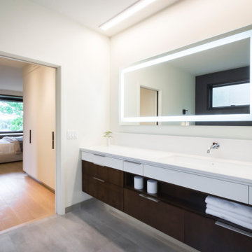 Minneapolis Whole Home Renovation