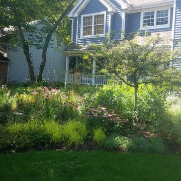 Rockford mulch-less front yard
