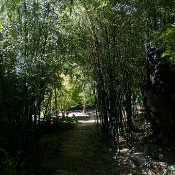 Buena Vista