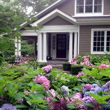 Exterior Images