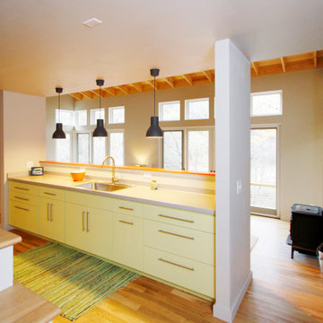 Modern Cabin