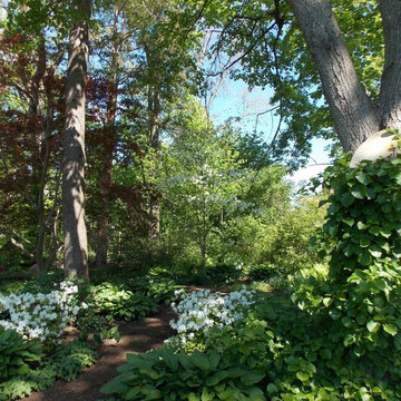 Native Plantscape 1920's Renovation
