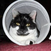 Peggy Lambdin's photo