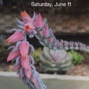 Kara Dufrene's photo