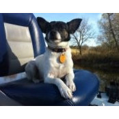 Tripp Snuggs's photo