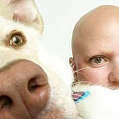 Katie Albert's photo