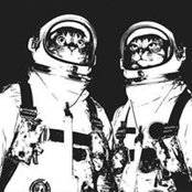 Mike McMahon's photo