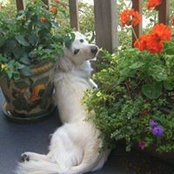 Sharon Maier's photo