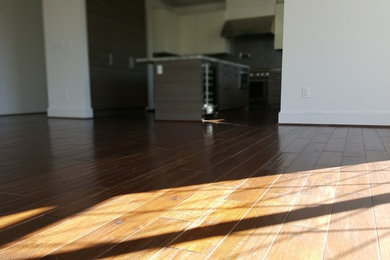 Inspiration for a mid-sized contemporary medium tone wood floor kitchen remodel in Houston with an island