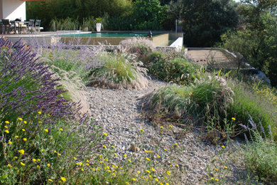 Idée de décoration pour un jardin méditerranéen avec une exposition ensoleillée, une pente, une colline ou un talus et un paillis.
