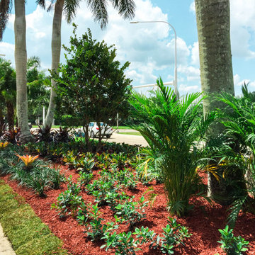 Complete overhaul of median strip landscaping in San Messina Weston Florida.