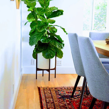 Oakland Hills, Kitchen Upgrade and Home Decor