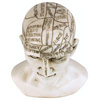 Phrenology Science Of The Brain Statue