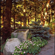 Water Feature