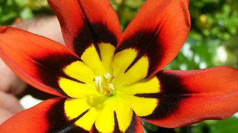 Mis trabajos realizados