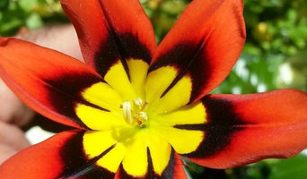 Mis trabajos realizados