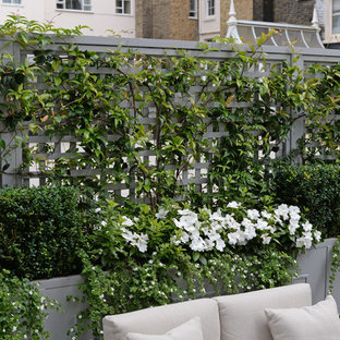Traditional Trellis - Making Smaller Spaces Work