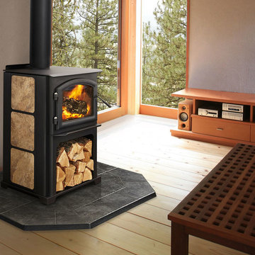 3100 Limited Edition Wood Stove