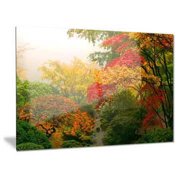 "Colorful Maple Trees" Photography Metal Wall Art, 28"x12"