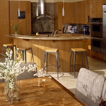 Contemporary Anigre Kitchen