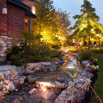 Backyard Rainforest & Garden