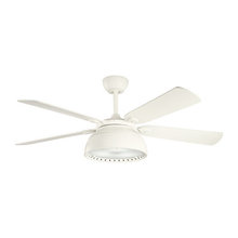 Ceiling Fans