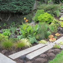 Rain Gardens