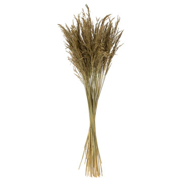 Vickerman 36" Congo Grass Bundle, 8 oz Dried