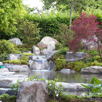 Teich- Moosgarten im Schwarzwald