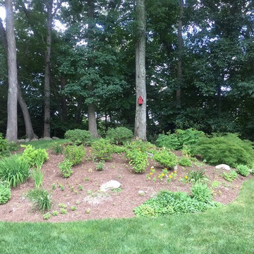 Wellesley, MA