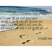 Holly Salemi's photo