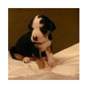 Monique Gilliot's photo