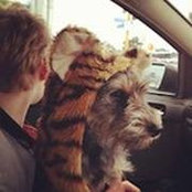 Cushla Dillon's photo