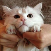 Joo Yeon Kim's photo