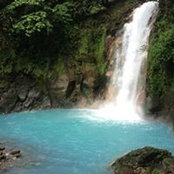 Wayne Patterson's photo