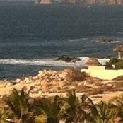 Judy Benoit's photo