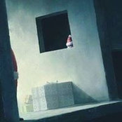 Oliver Vier's photo