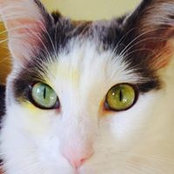 Brigitte Sims's photo