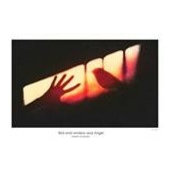 Noha MoAmary's photo
